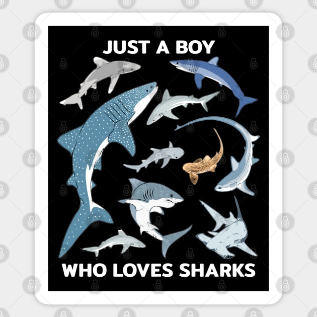 Just a boy who loves sharks Sticker by NicGrayTees